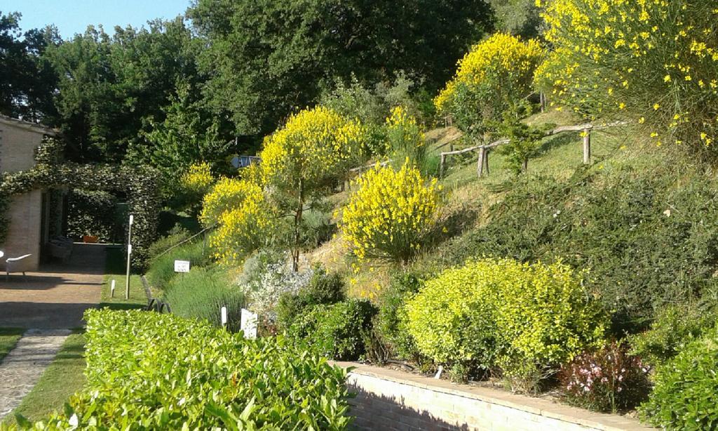 Hotel & Spa L'Antico Forziere Deruta Zewnętrze zdjęcie